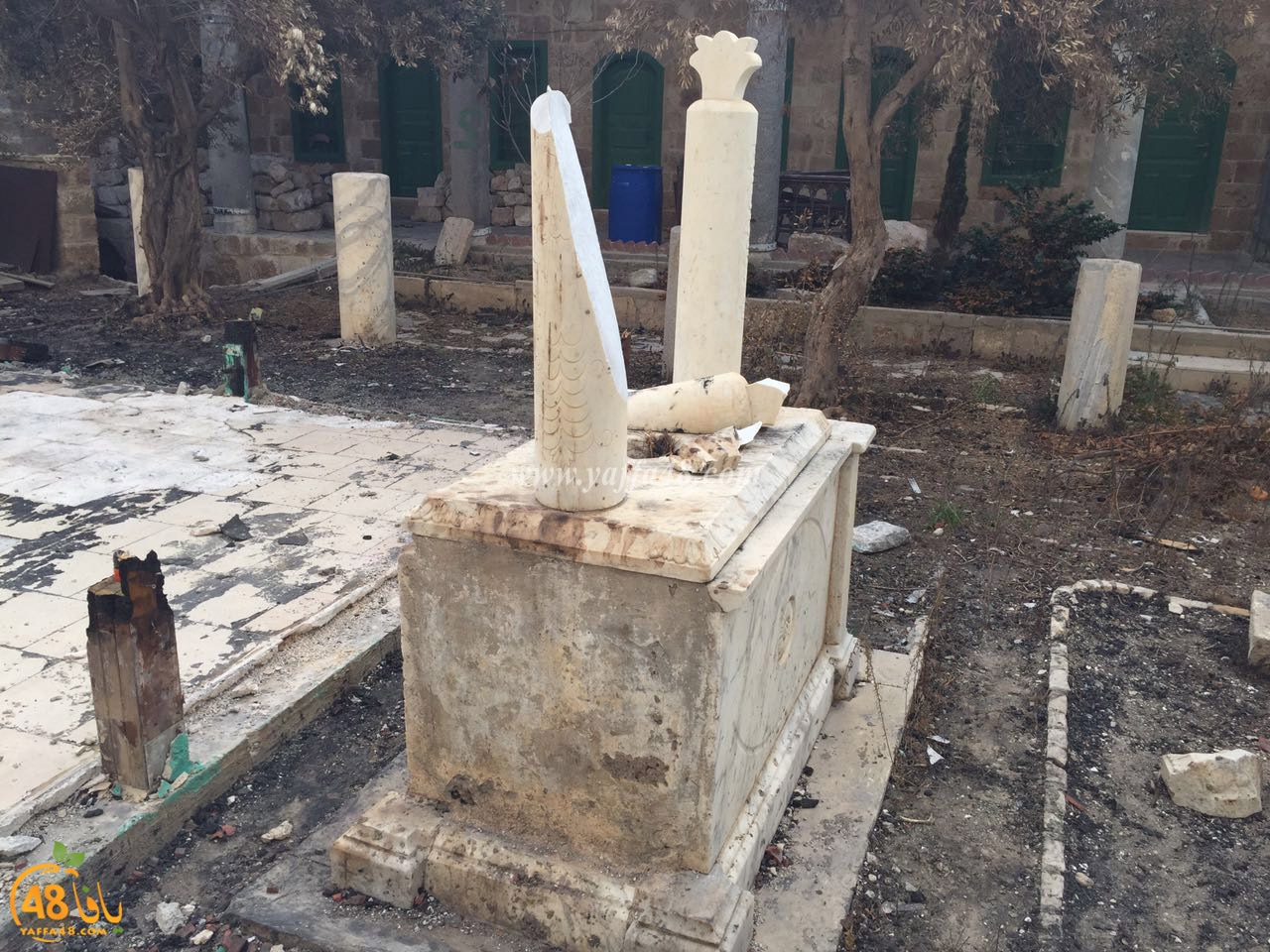 wafasd jazar yaffa (7).jpg